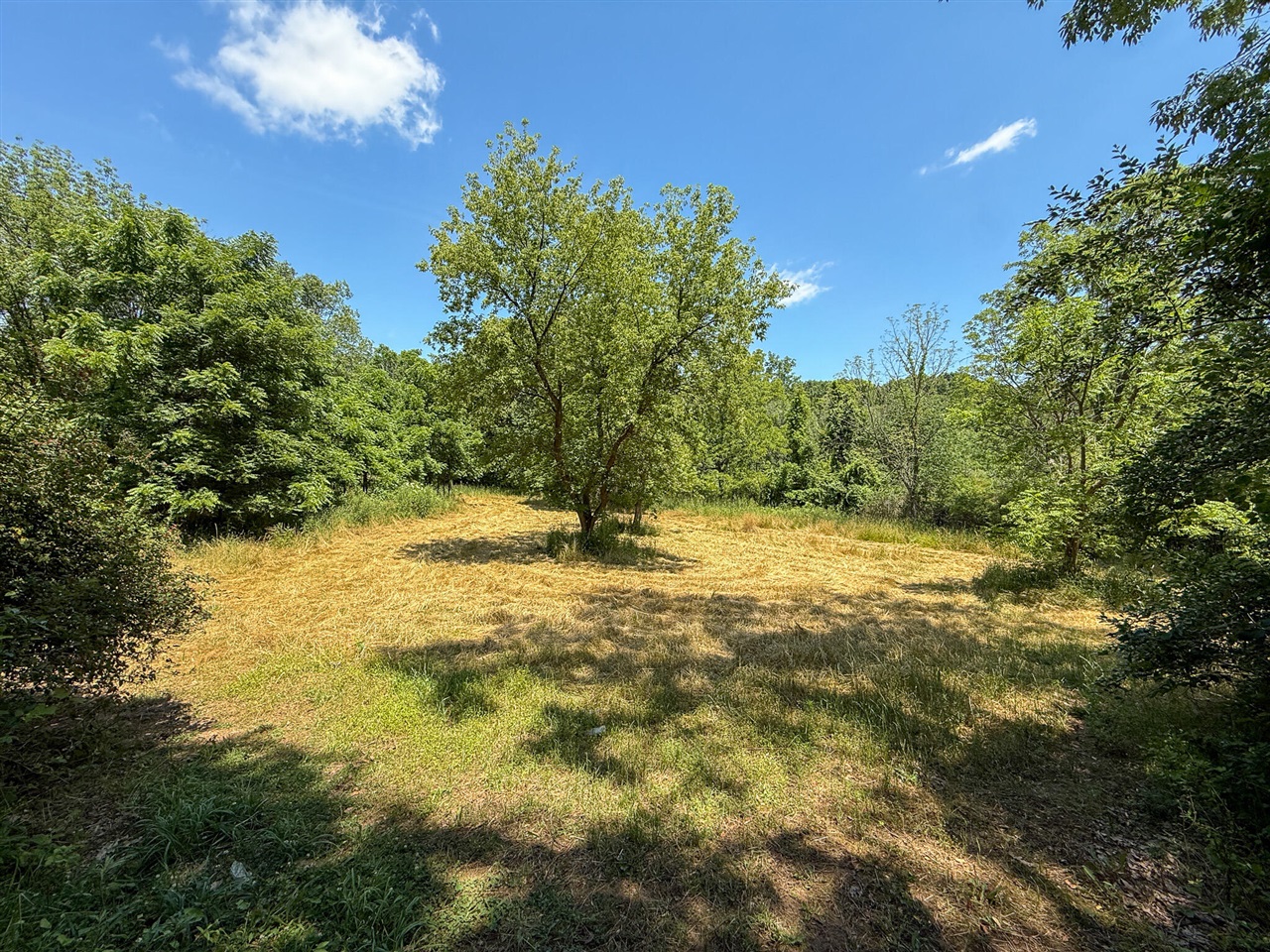 Homes for sale in Parma, MI | 115 W Michigan Ave, Parma, MI 49269 | MLS# 70480173