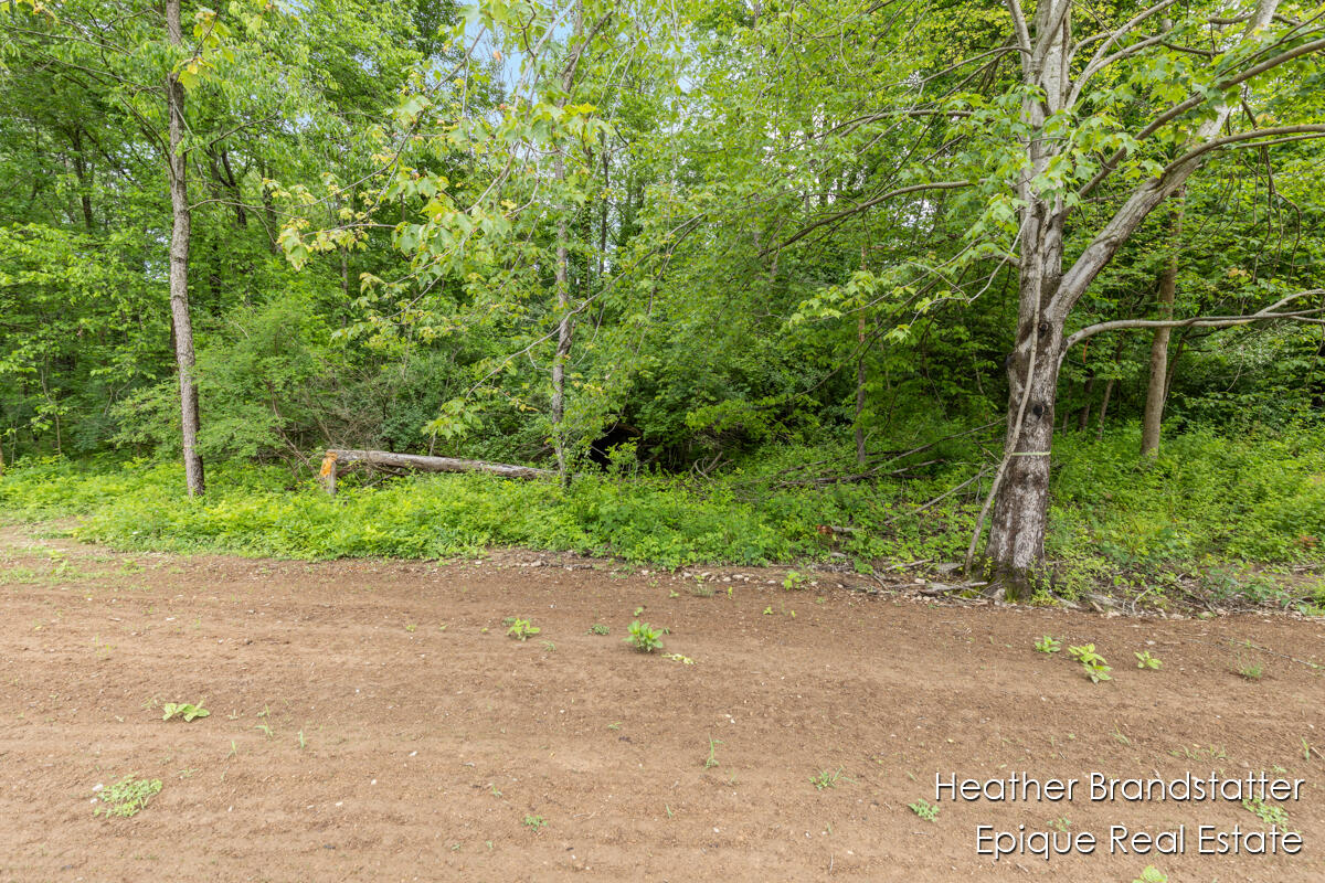 Homes for sale in Ada, MI | 4225 Wilden Ridge Dr, Ada, MI 49301 | MLS# 70480451