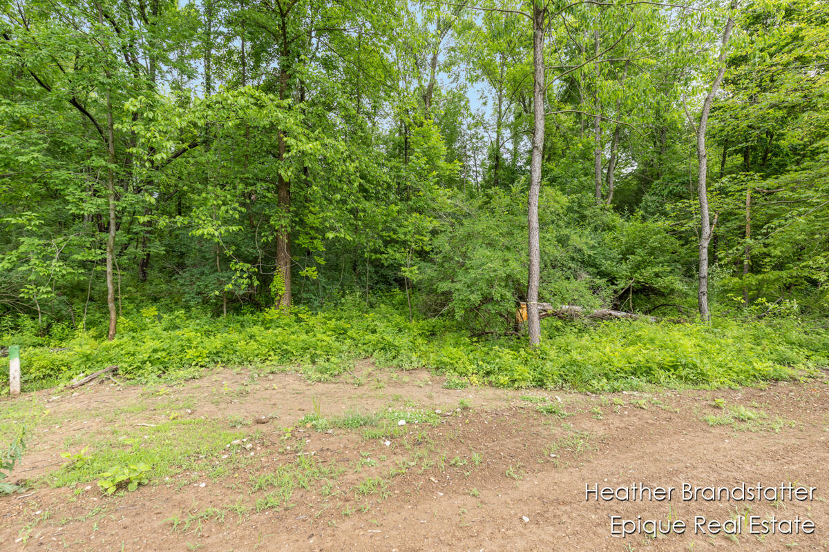 Homes for sale in Ada, MI | 4225 Wilden Ridge Dr, Ada, MI 49301 | MLS# 70480451