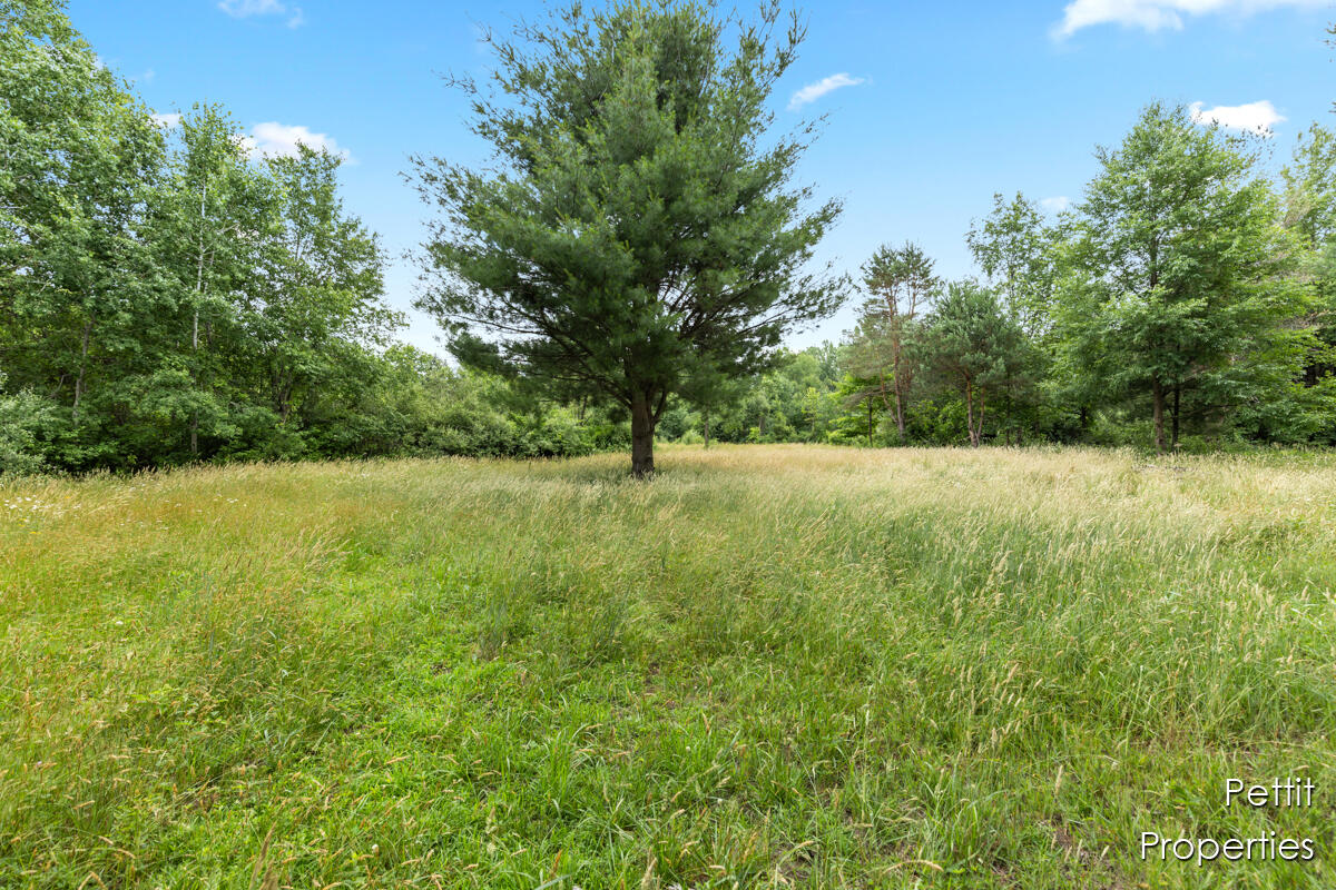 Homes for sale in Nunica, MI | 6804 S Maple Island Rd, Nunica, MI 49448 | MLS# 70480452