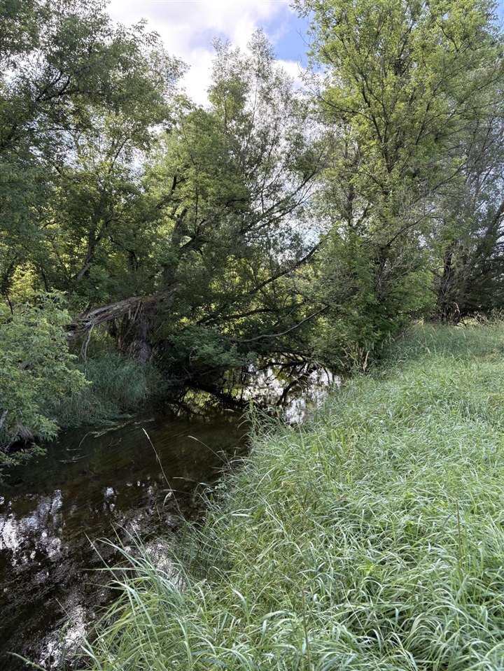 Homes for sale in Stockbridge, MI | 0 Green St, Stockbridge, MI 49285 | MLS# 70480865