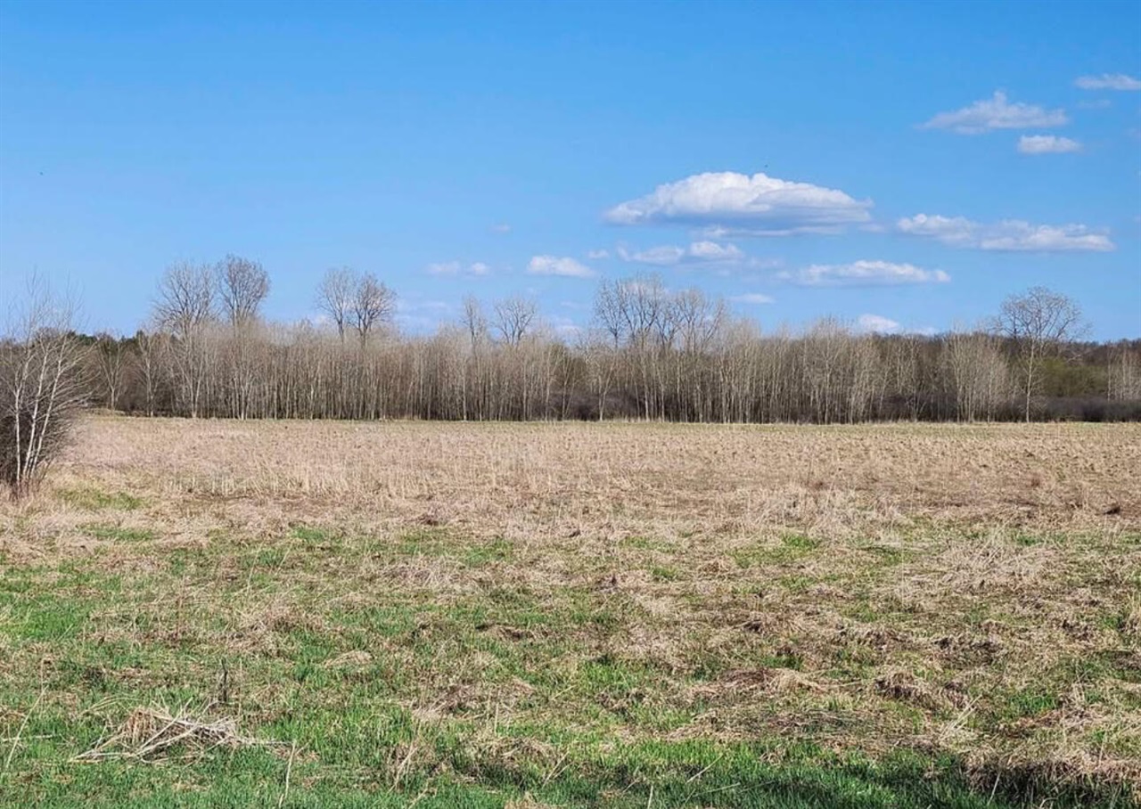 Homes for sale in Stockbridge, MI | 0 Green St, Stockbridge, MI 49285 | MLS# 70480865