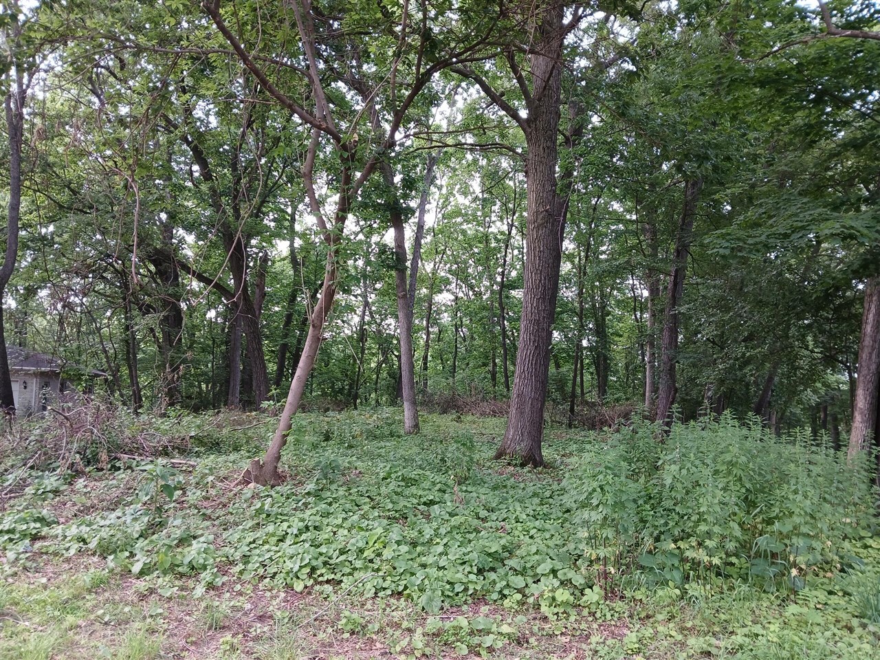 Homes for sale in Springfield, MI | 1272 Westlake Woods Dr Dr, Springfield, MI 49037 | MLS# 70480950