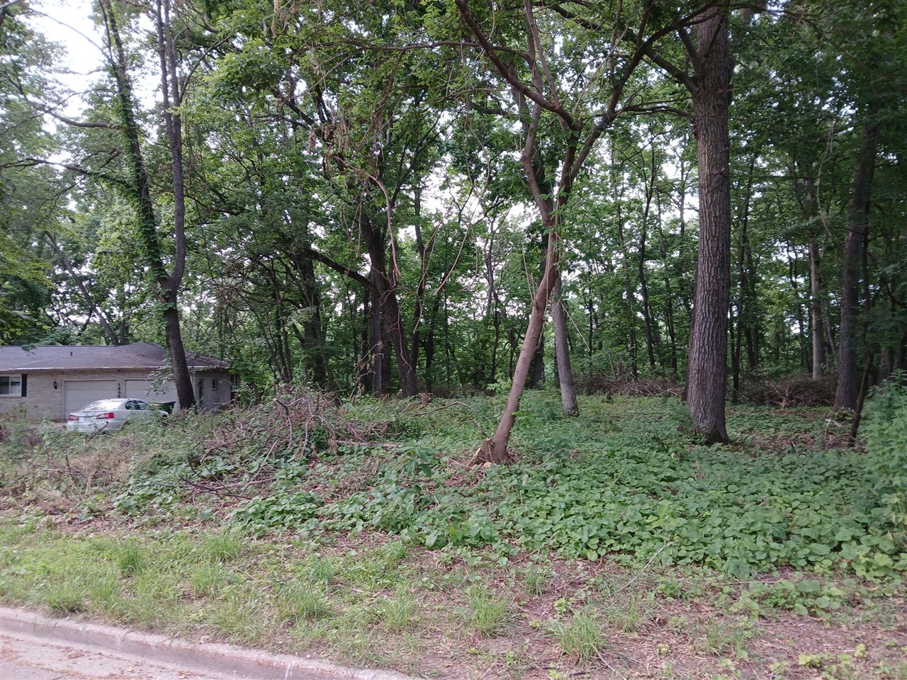 Homes for sale in Springfield, MI | 1272 Westlake Woods Dr Dr, Springfield, MI 49037 | MLS# 70480950