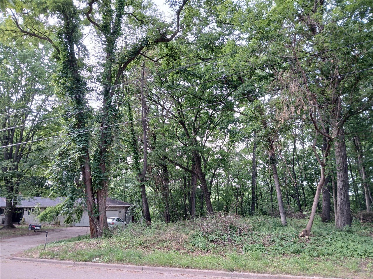 Homes for sale in Springfield, MI | 1272 Westlake Woods Dr Dr, Springfield, MI 49037 | MLS# 70480950