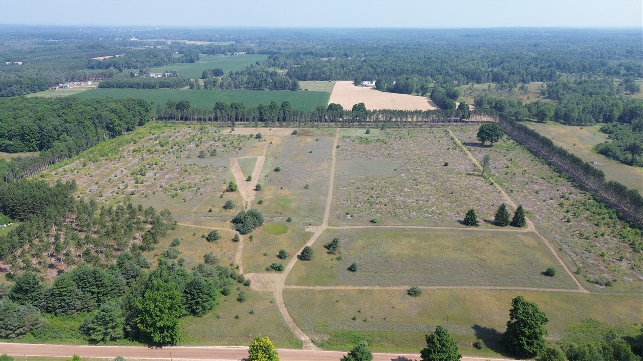 Homes for sale in Evart, MI | 0000 Indian Lake Rd, Evart, MI 49631 | MLS# 70481323