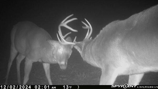 Homes for sale in Evart, MI | 0000 Indian Lake Rd, Evart, MI 49631 | MLS# 70481323