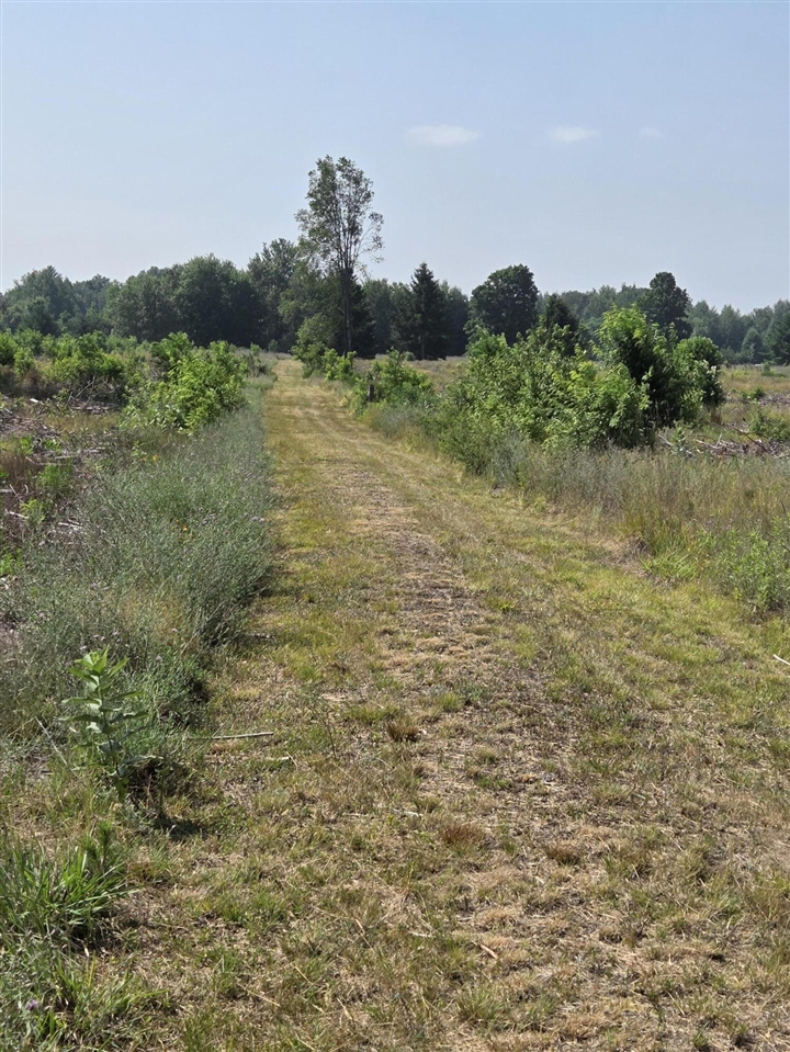 Homes for sale in Evart, MI | 0000 Indian Lake Rd, Evart, MI 49631 | MLS# 70481323