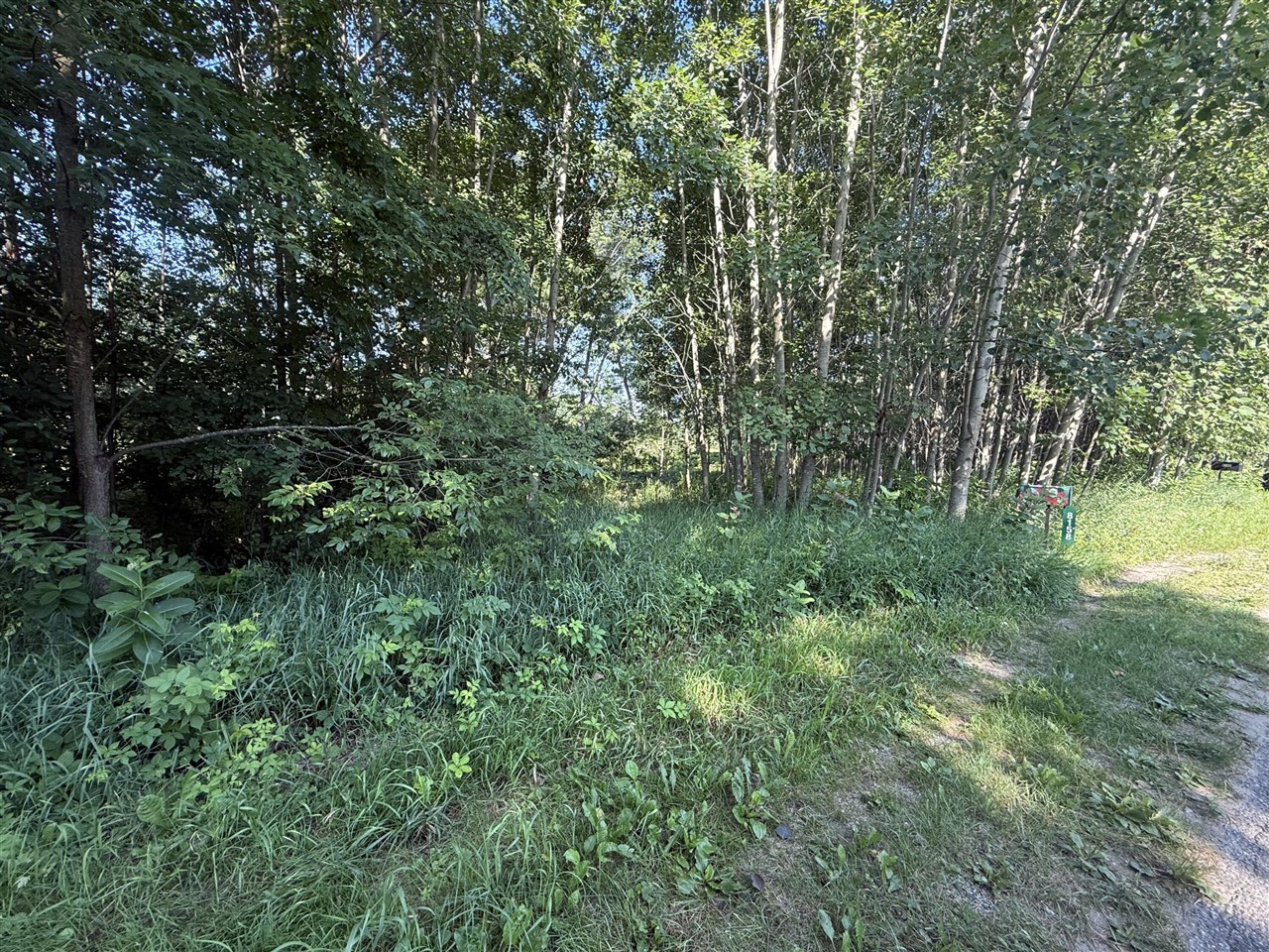 Homes for sale in Stanwood, MI | Tbd W Royal Rd, Stanwood, MI 49346 | MLS# 70481413