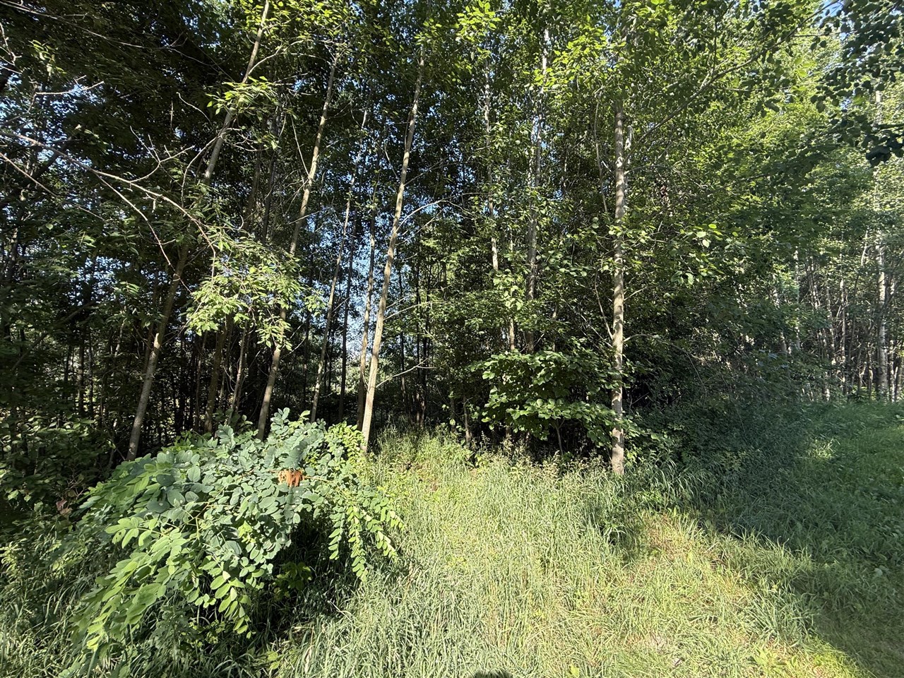 Homes for sale in Stanwood, MI | Tbd W Royal Rd, Stanwood, MI 49346 | MLS# 70481413