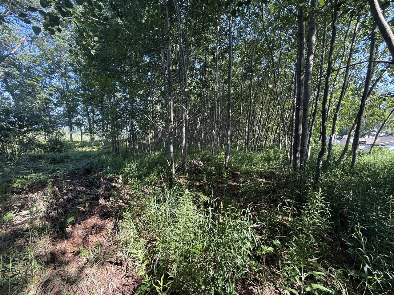 Homes for sale in Stanwood, MI | Tbd W Royal Rd, Stanwood, MI 49346 | MLS# 70481413