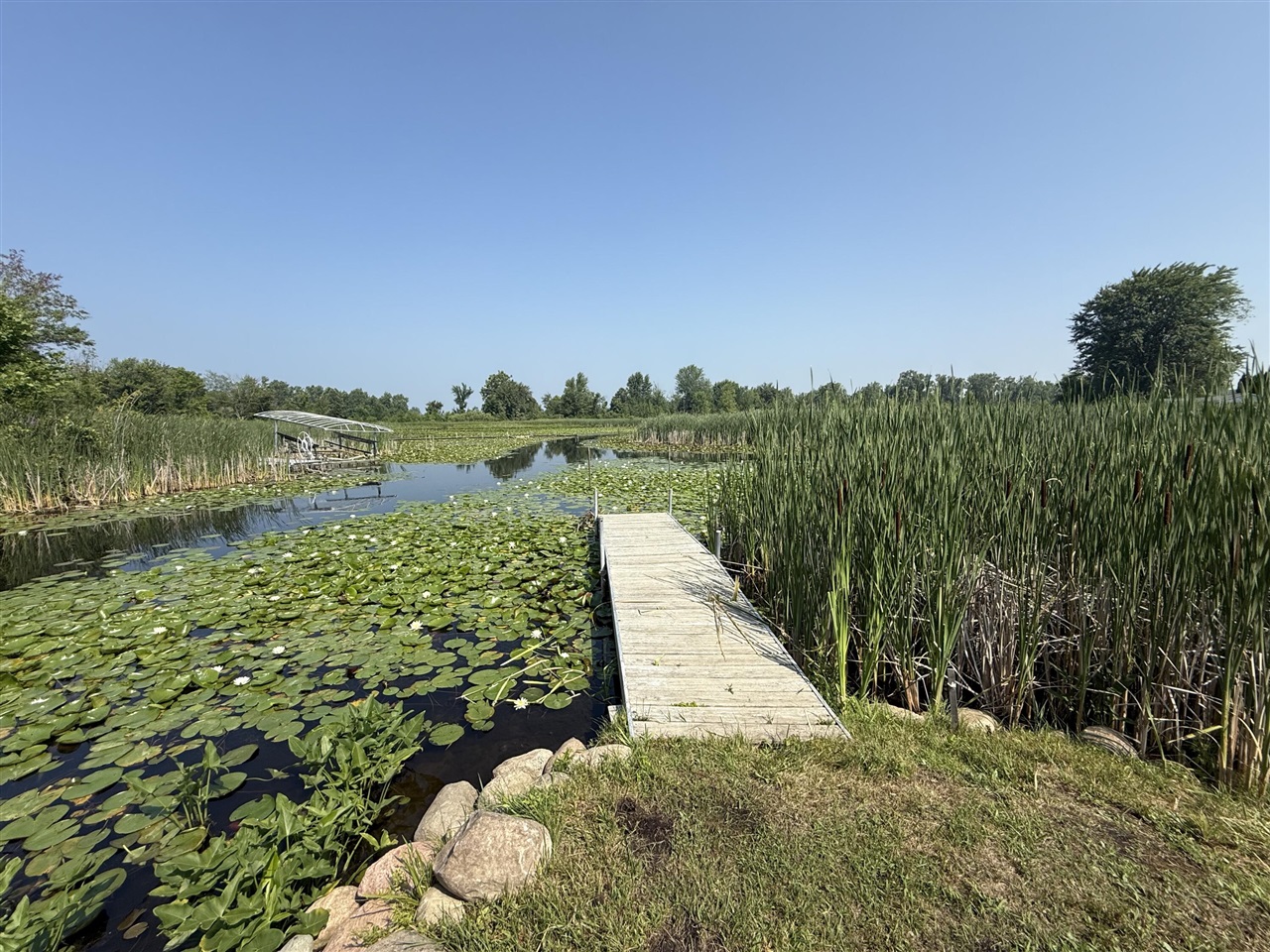 Homes for sale in Coldwater, MI | Leaf Ln, Coldwater, MI 49036 | MLS# 70481449