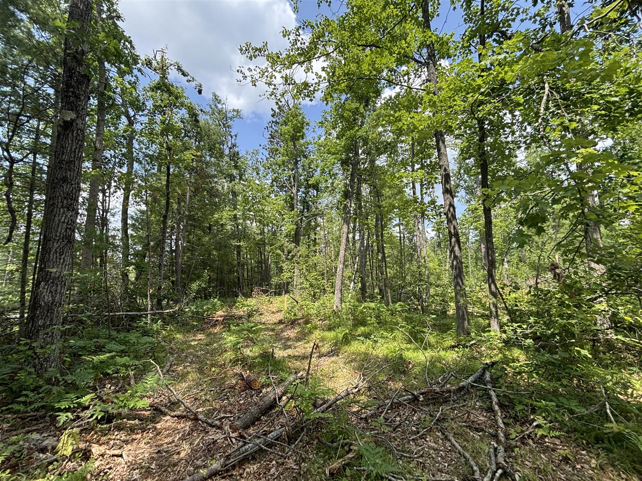 Homes for sale in Johannesburg, MI | V/L 1227A Meridian Line Rd, Johannesburg, MI 49751 | MLS# 70481577