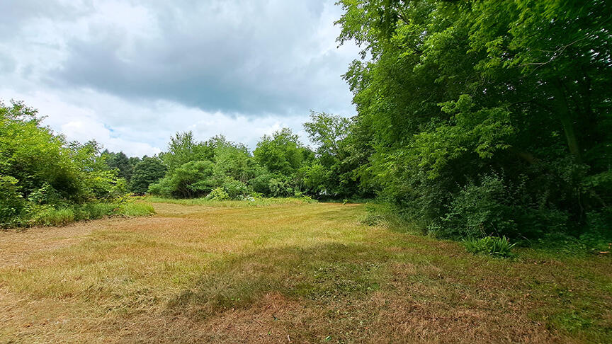 Homes for sale in Sherwood, MI | 893 Vogel Dr, Sherwood, MI 49089 | MLS# 70481718