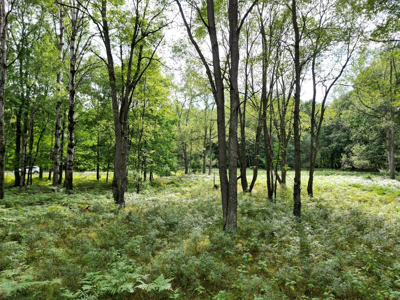 Homes for sale in Canadian Lakes, MI | 6188 Fox Run Cir, Canadian Lakes, MI 49346 | MLS# 70482123