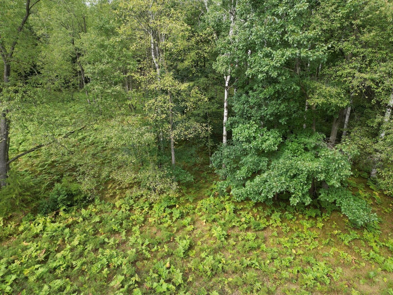 Homes for sale in Canadian Lakes, MI | 6188 Fox Run Cir, Canadian Lakes, MI 49346 | MLS# 70482123