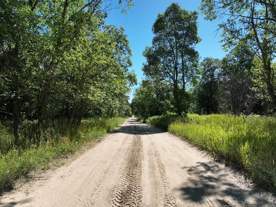 Homes for sale in Fife Lake, MI | 11722 Behlke Rd, Fife Lake, MI 49633 | MLS# 70482180