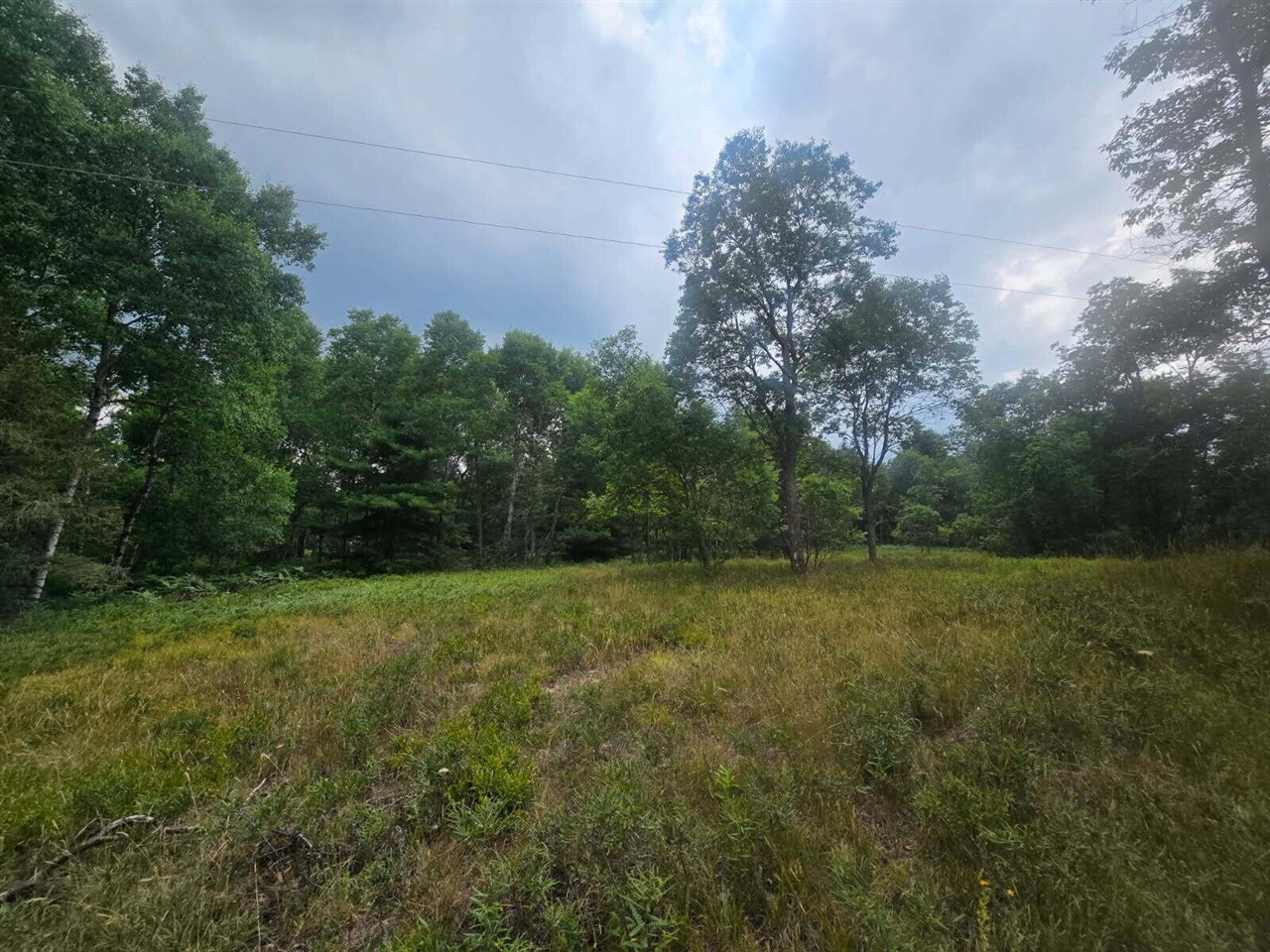 Homes for sale in Fife Lake, MI | 11722 Behlke Rd, Fife Lake, MI 49633 | MLS# 70482180