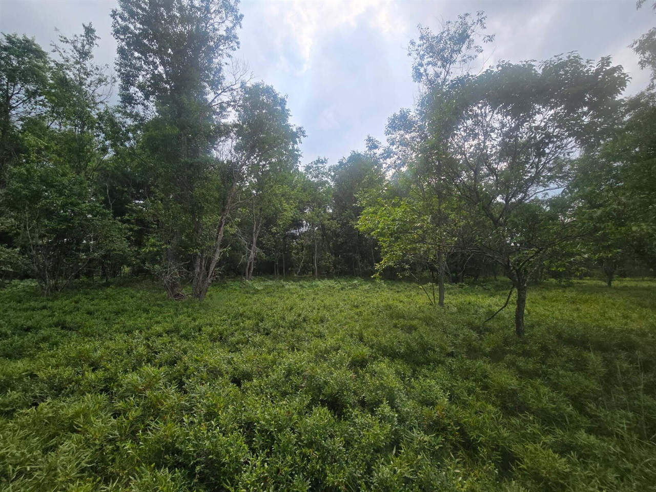 Homes for sale in Fife Lake, MI | 11722 Behlke Rd, Fife Lake, MI 49633 | MLS# 70482180