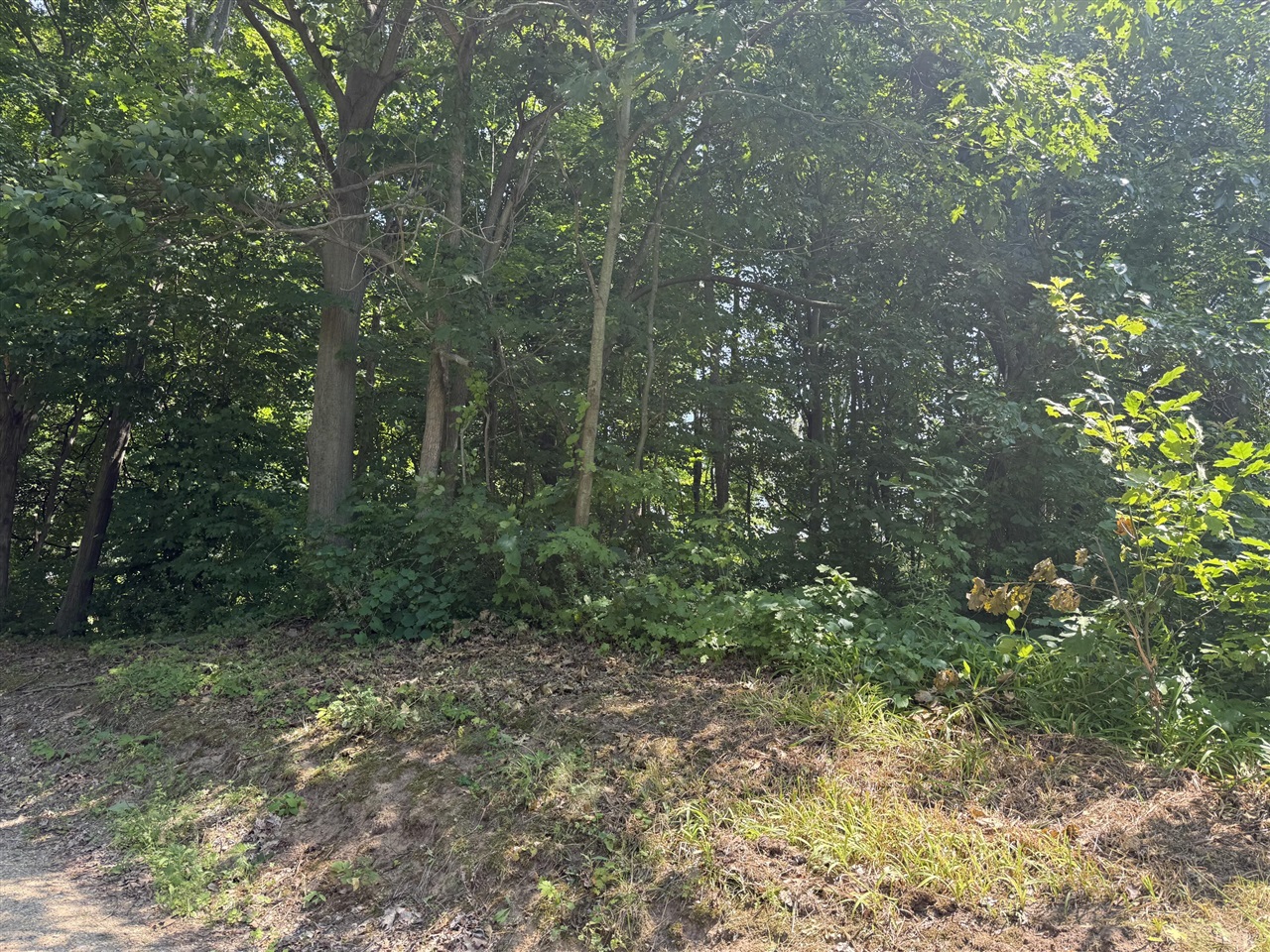 Homes for sale in Coloma, MI | 3190/3198 Prospect Ave, Coloma, MI 49038 | MLS# 70482839