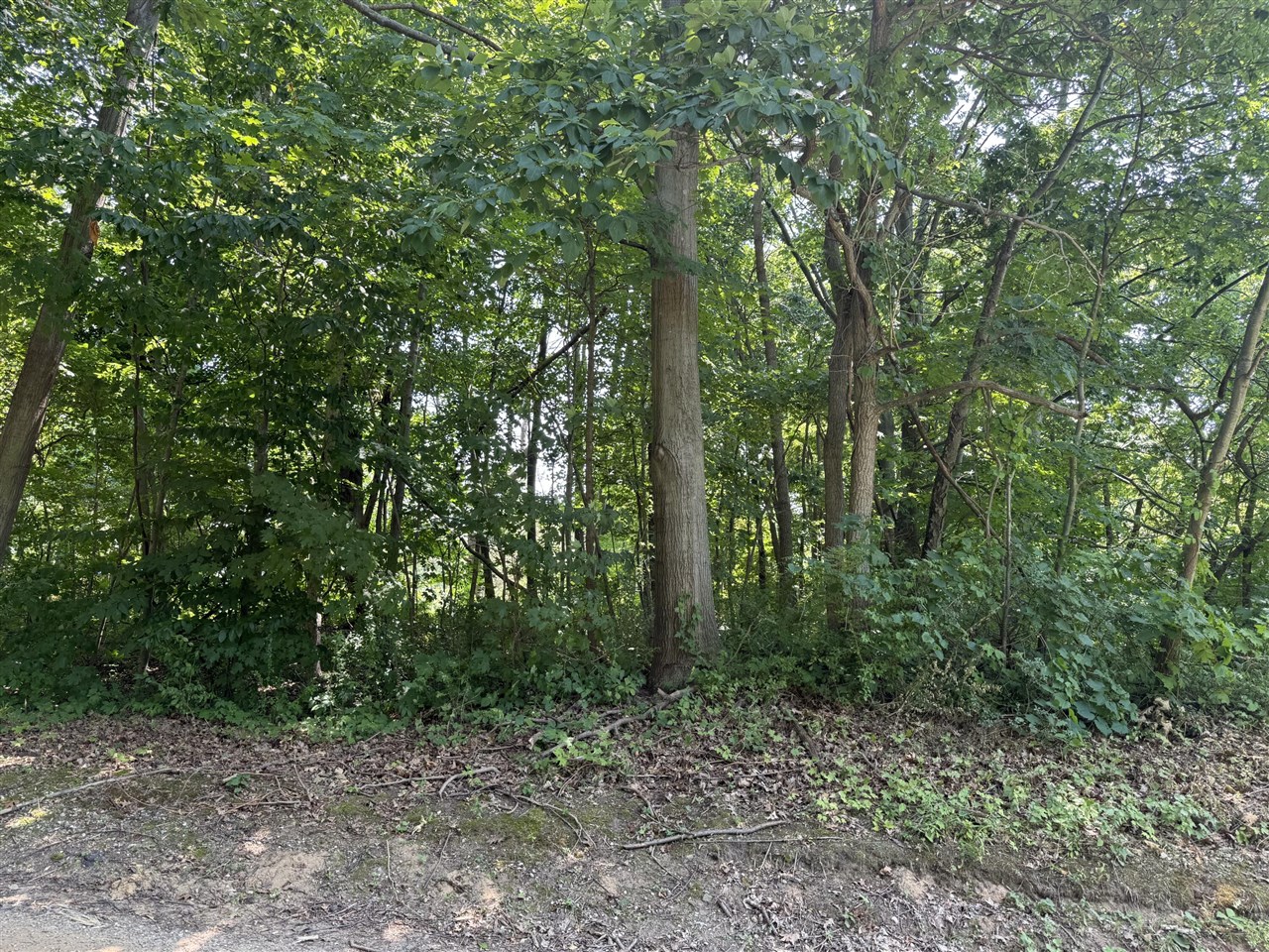 Homes for sale in Coloma, MI | 3190/3198 Prospect Ave, Coloma, MI 49038 | MLS# 70482839