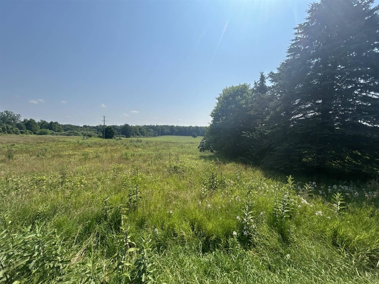 Homes for sale in Lawrence, MI | 62619 N Cr 365 Rd, Lawrence, MI 49064 | MLS# 70482946