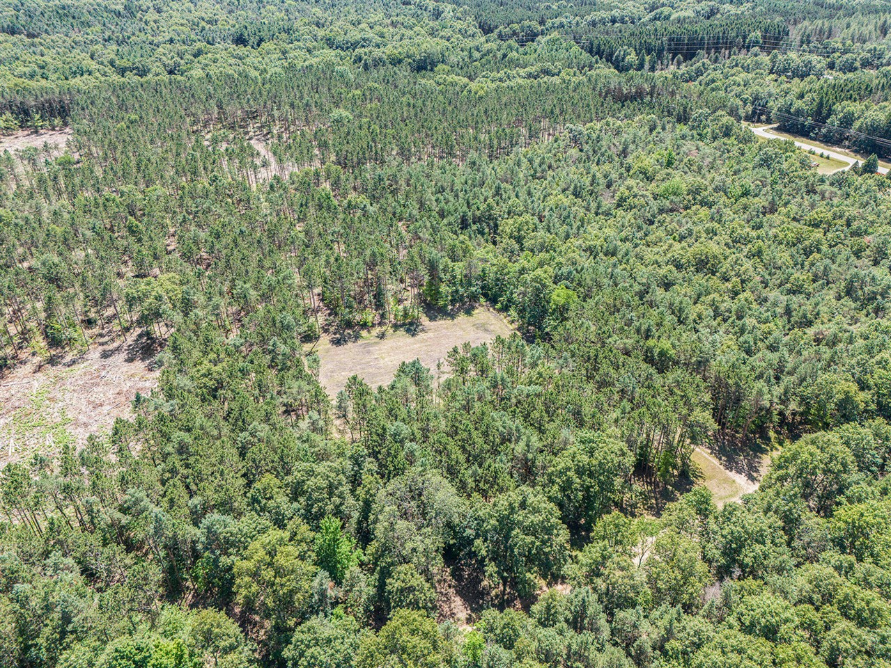 Homes for sale in Mears, MI | 775 Acres Scout Rd, Mears, MI 49436 | MLS# 70483195