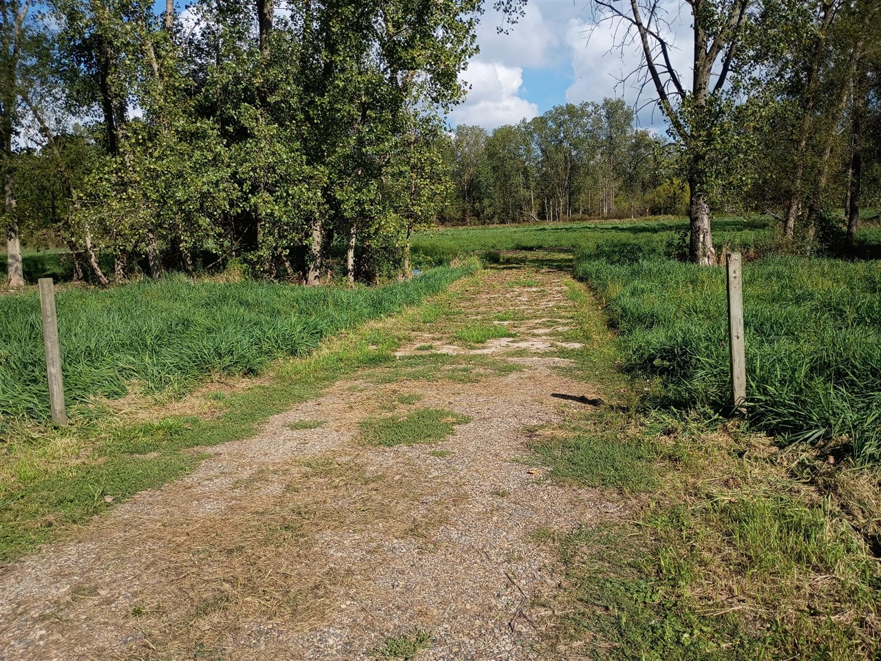 Homes for sale in Bangor, MI | V/l 60 1/2 St, Bangor, MI 49013 | MLS# 70483328