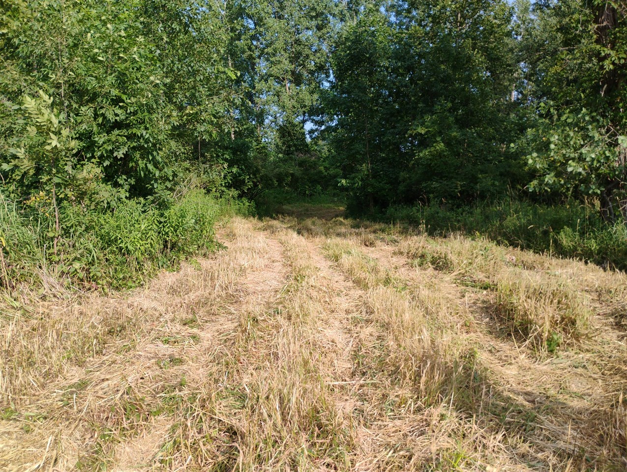 Homes for sale in Bangor, MI | V/L 60 1/2 St, Bangor, MI 49013 | MLS# 70483328