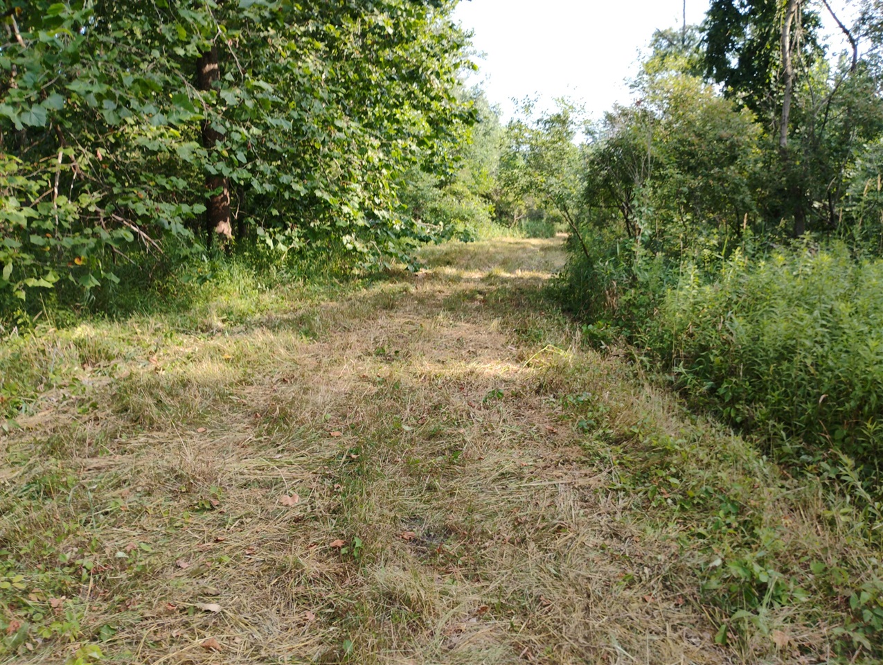 Homes for sale in Bangor, MI | V/L 60 1/2 St, Bangor, MI 49013 | MLS# 70483328