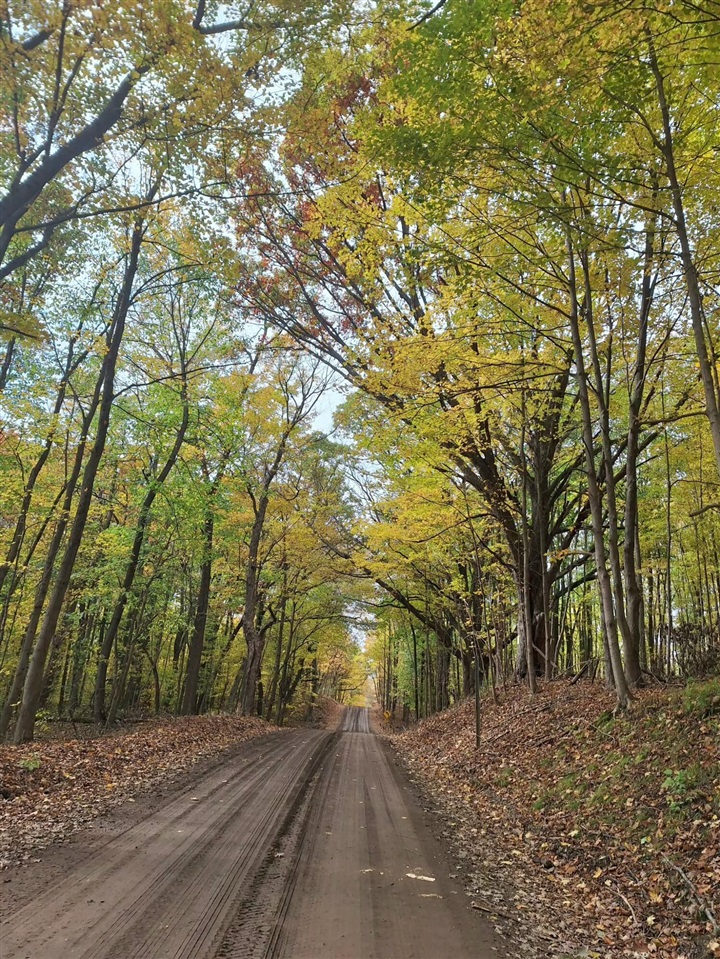 Homes for sale in Delton, MI | 9308 W Guernsey Lake Road Road, Delton, MI 49046 | MLS# 70483559