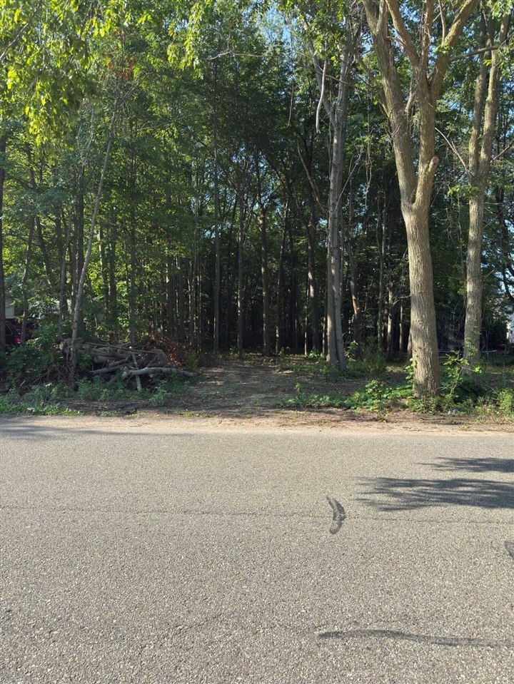 Homes for sale in Holland, MI | V/L Jack St, Holland, MI 49424 | MLS# 70483605