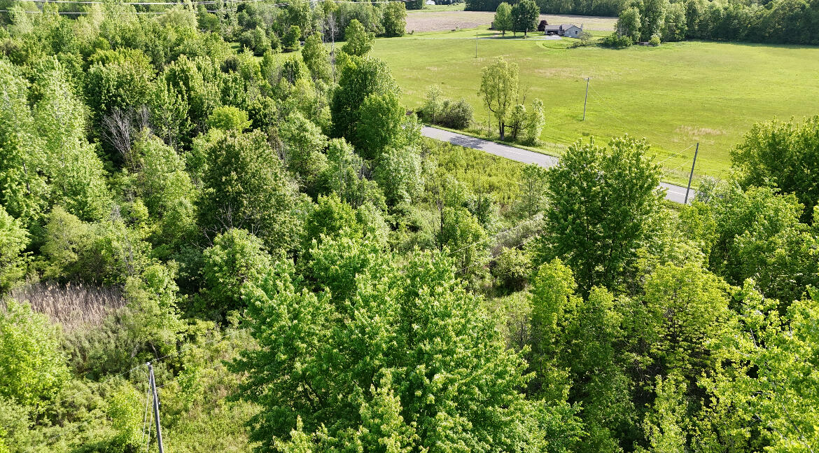 Homes for sale in Cedar Springs, MI | 13027 Shaner Ave, Cedar Springs, MI 49319 | MLS# 70483617