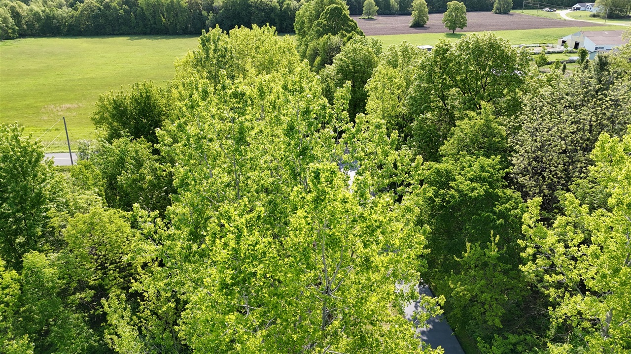 Homes for sale in Cedar Springs, MI | 13027 Shaner Ave, Cedar Springs, MI 49319 | MLS# 70483617