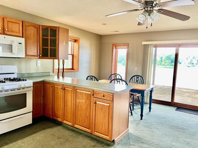 Homes for sale in White Cloud, MI | 3283 W Ridge St, White Cloud, MI 49349 | MLS# 70483977