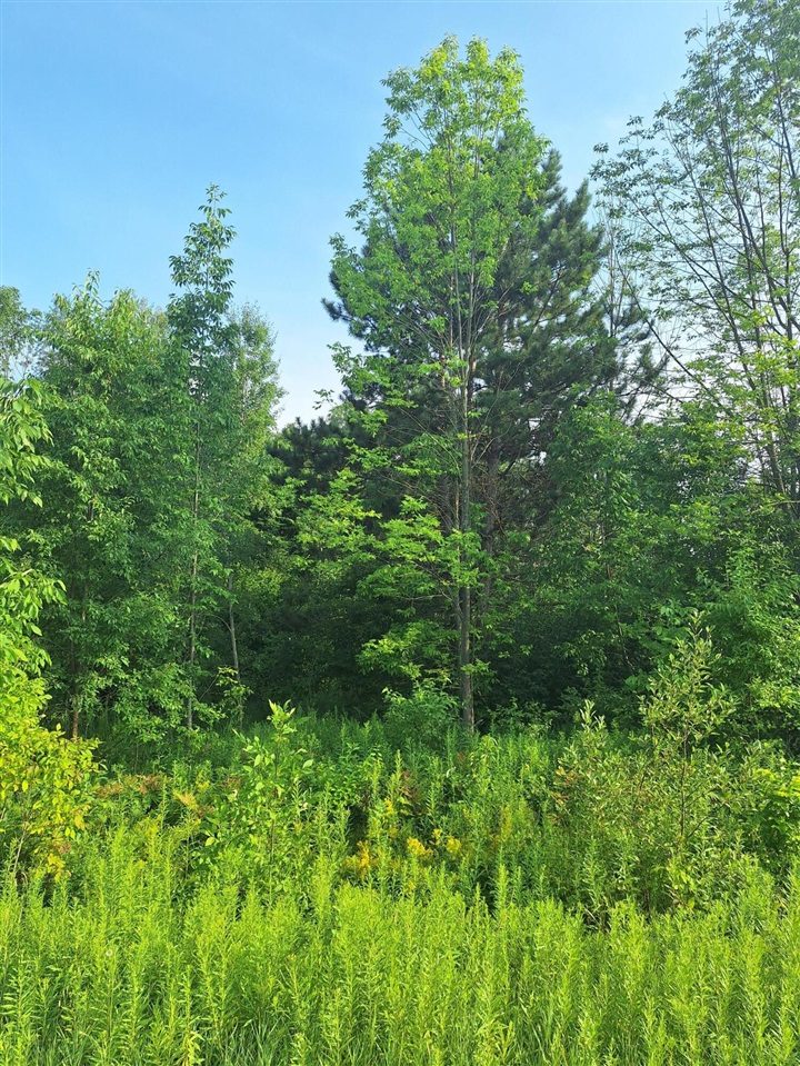 Homes for sale in Le Roy, MI | 000 14 Mile Rd, Le Roy, MI 49655 | MLS# 70484016