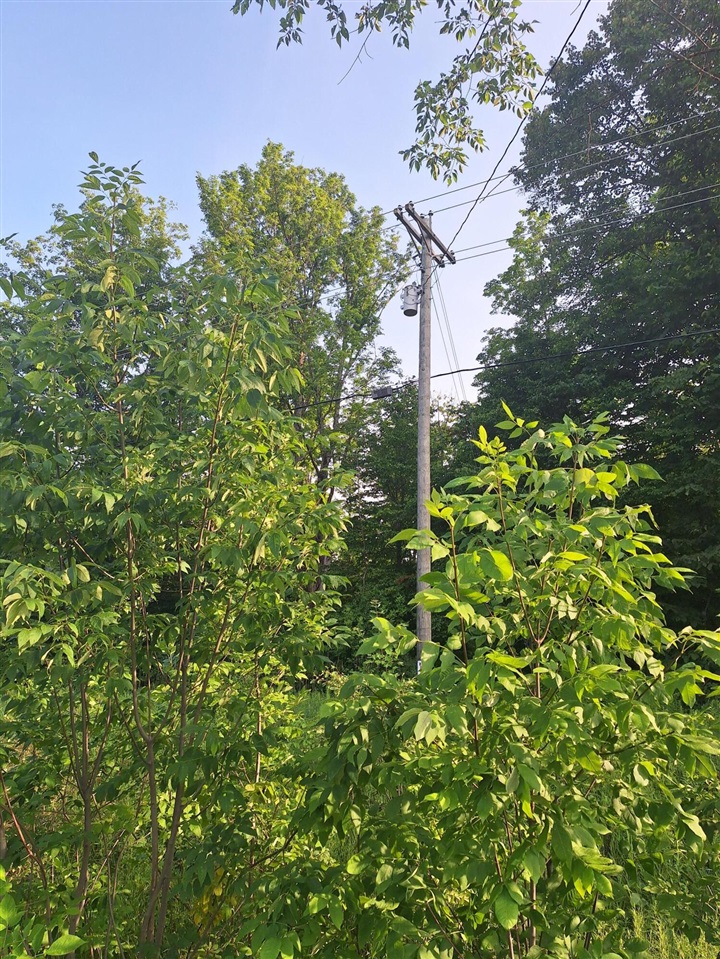 Homes for sale in Le Roy, MI | 000 14 Mile Rd, Le Roy, MI 49655 | MLS# 70484016