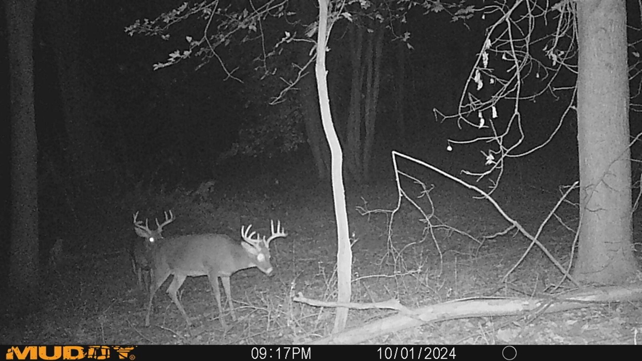 Homes for sale in Crystal, MI | 10365 E Klees Rd Rd, Crystal, MI 48818 | MLS# 70484078