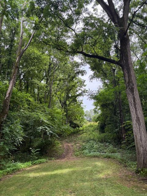 Homes for sale in Buchanan, MI | 0 E River Rd, Buchanan, MI 49107 | MLS# 70484224