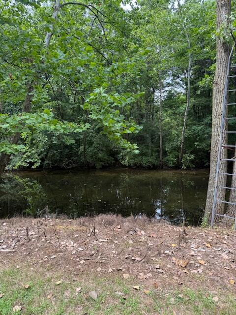 Homes for sale in Buchanan, MI | 0 E River Rd, Buchanan, MI 49107 | MLS# 70484224