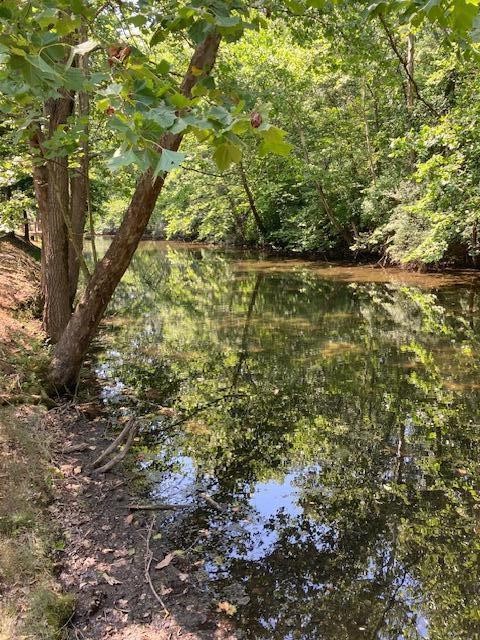 Homes for sale in Buchanan, MI | 0 E River Rd, Buchanan, MI 49107 | MLS# 70484224