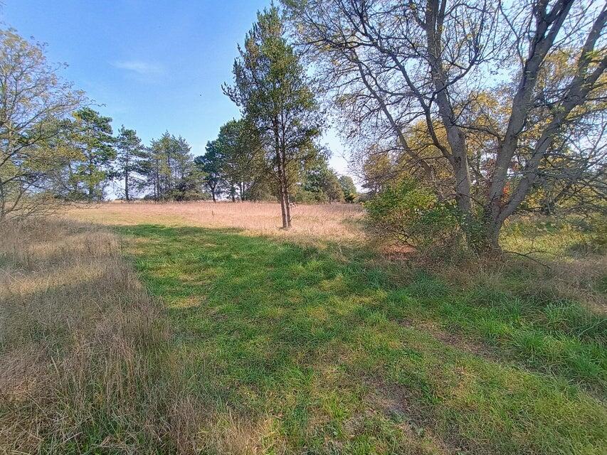 Homes for sale in Custer, MI | 3571 E Decker Rd, Custer, MI 49405 | MLS# 70484434