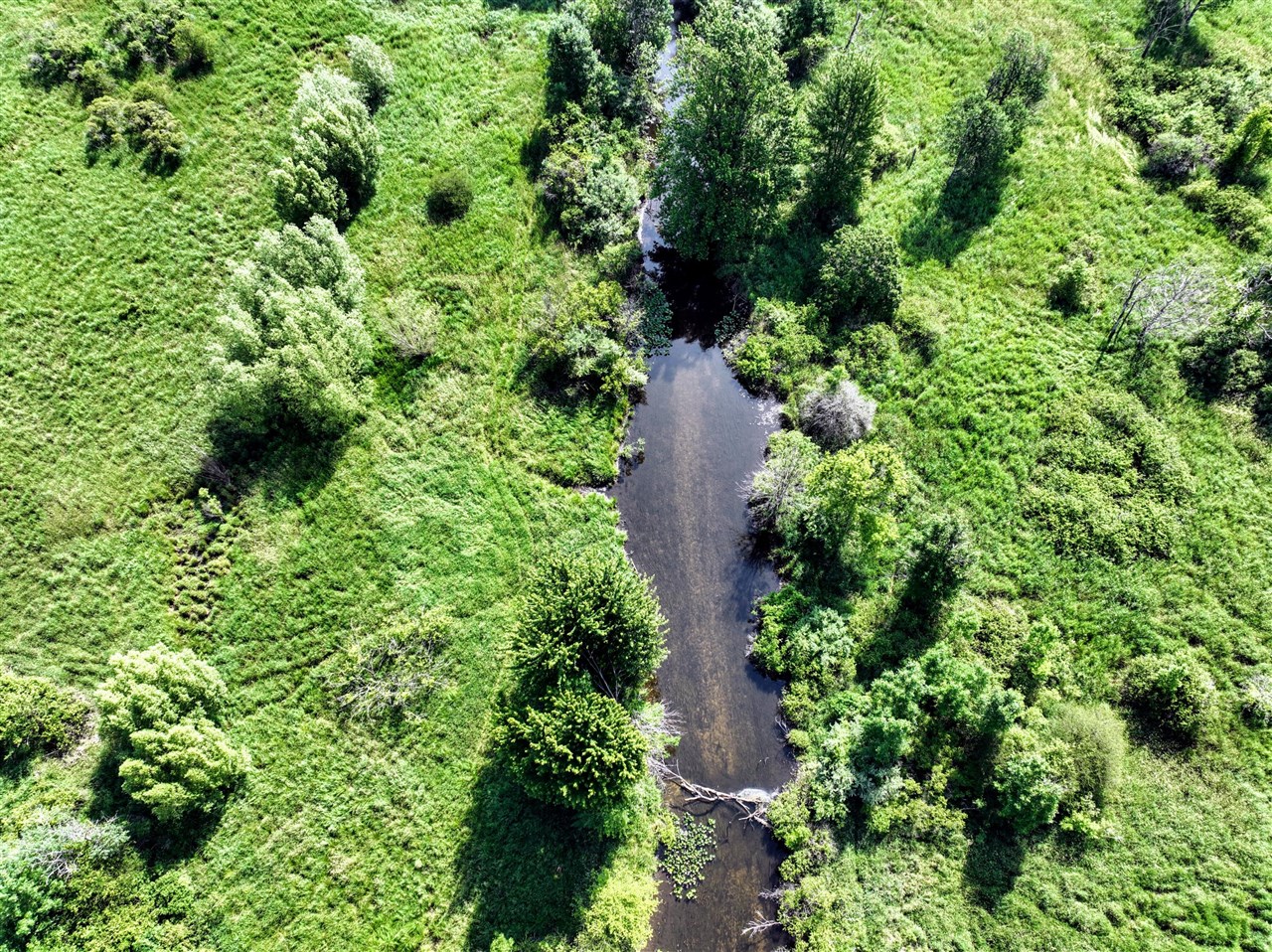 Homes for sale in Albion, MI | Vl 24 Mile Rd Lot#wp001, Albion, MI 49224 | MLS# 70484586