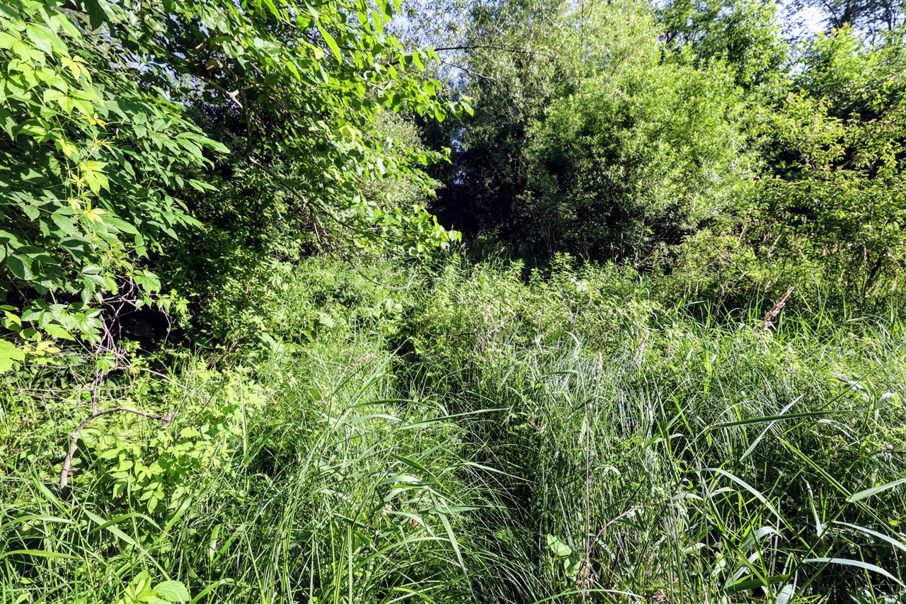 Homes for sale in Albion, MI | Vl 24 Mile Rd Lot#Wp001, Albion, MI 49224 | MLS# 70484586