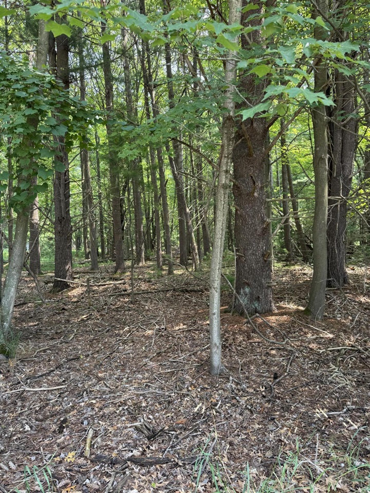 Homes for sale in Pentwater, MI | Vl 3rd Ave, Pentwater, MI 49449 | MLS# 70484944