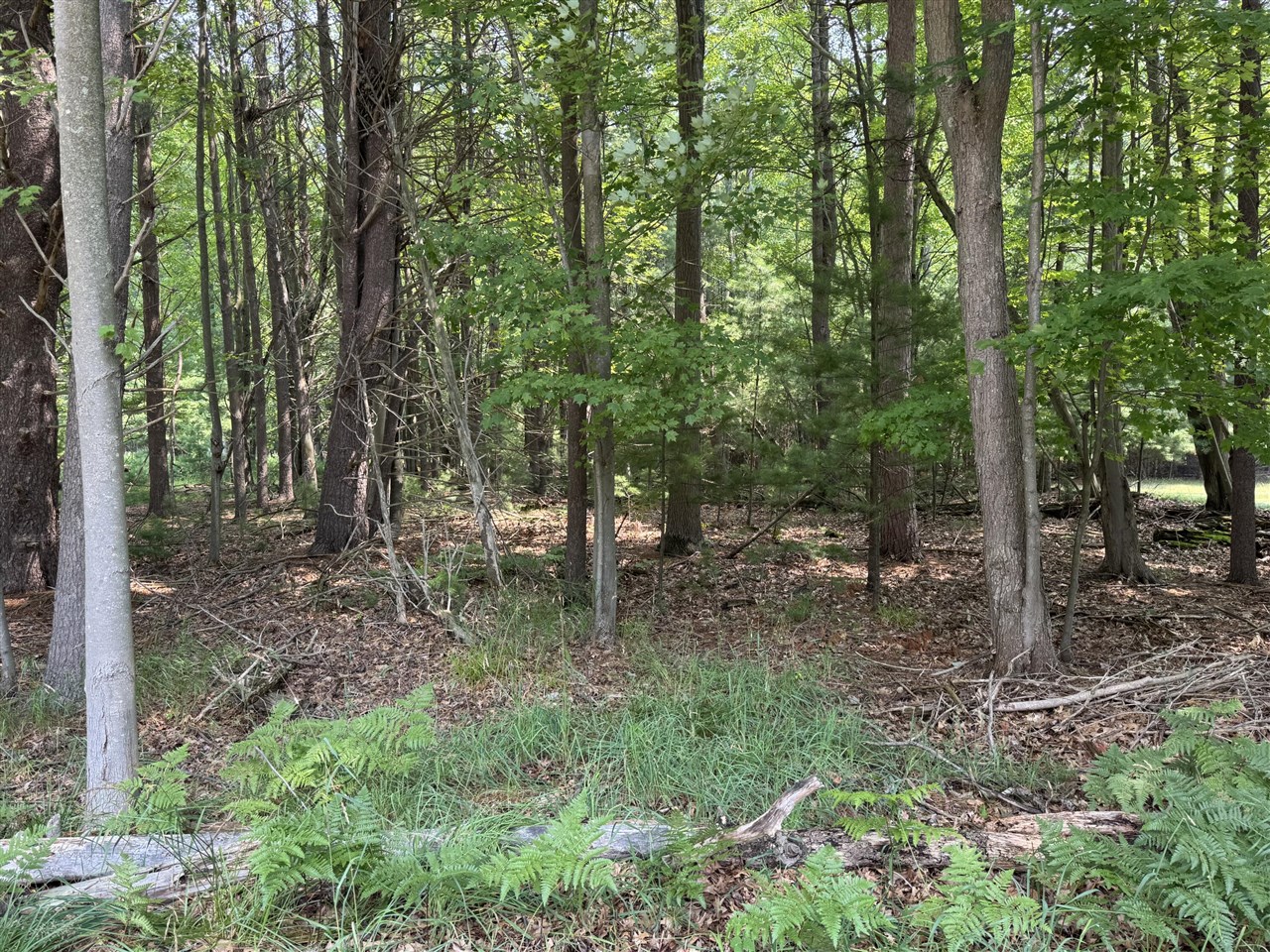 Homes for sale in Pentwater, MI | Vl 3rd Ave, Pentwater, MI 49449 | MLS# 70484944