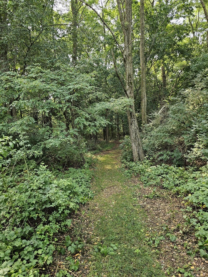 Homes for sale in Stevensville, MI | 0000 Short St, Stevensville, MI 49127 | MLS# 70485254