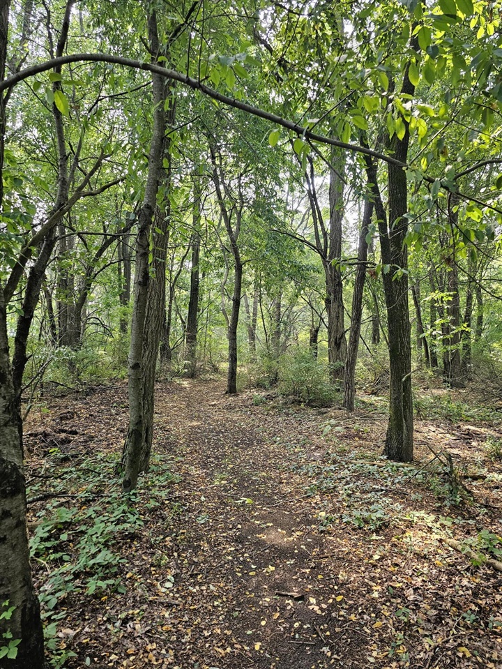 Homes for sale in Stevensville, MI | 0000 Short St, Stevensville, MI 49127 | MLS# 70485254