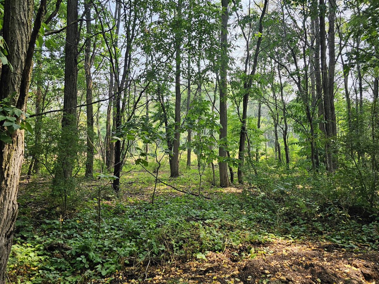 Homes for sale in Stevensville, MI | 0000 Short St, Stevensville, MI 49127 | MLS# 70485254