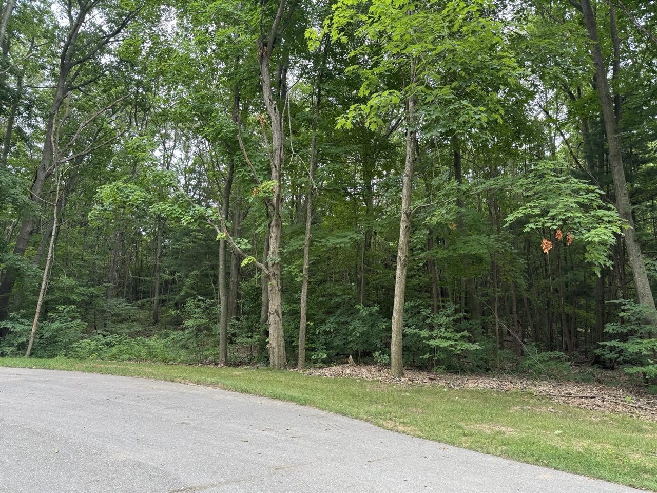 Homes for sale in South Haven, MI | 76757 Wood Crest Court, South Haven, MI 49090 | MLS# 70485330